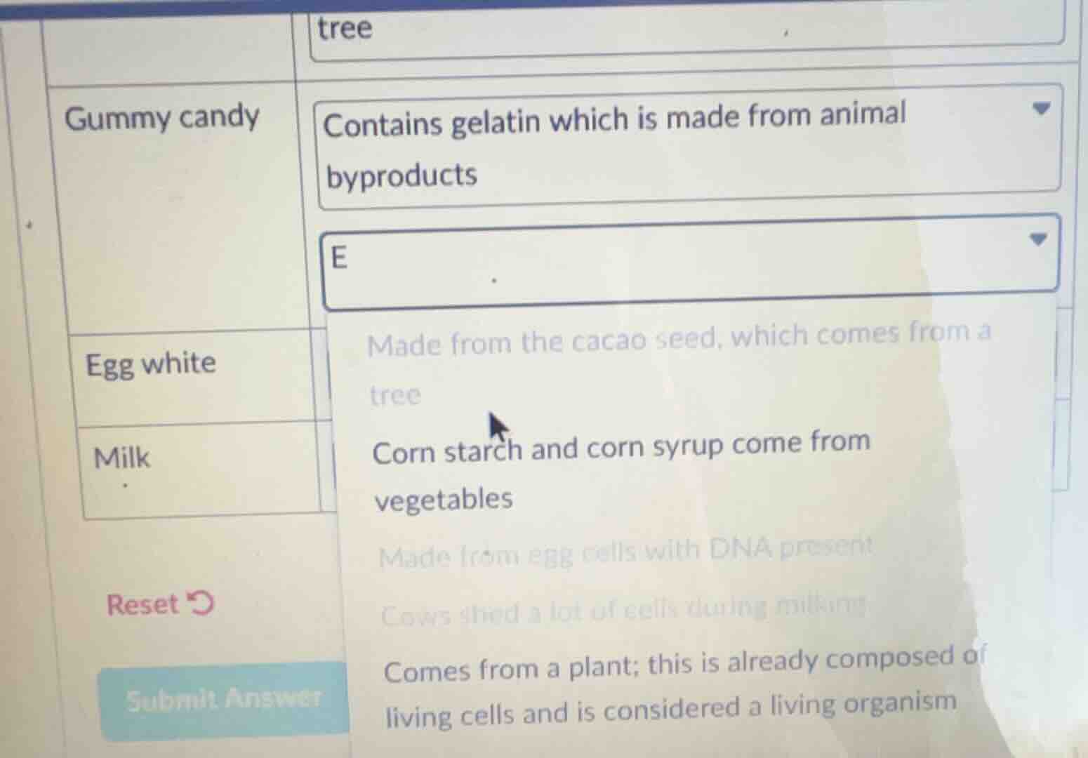 tree gummy candy contains gelatin which is made from animal byproducts …