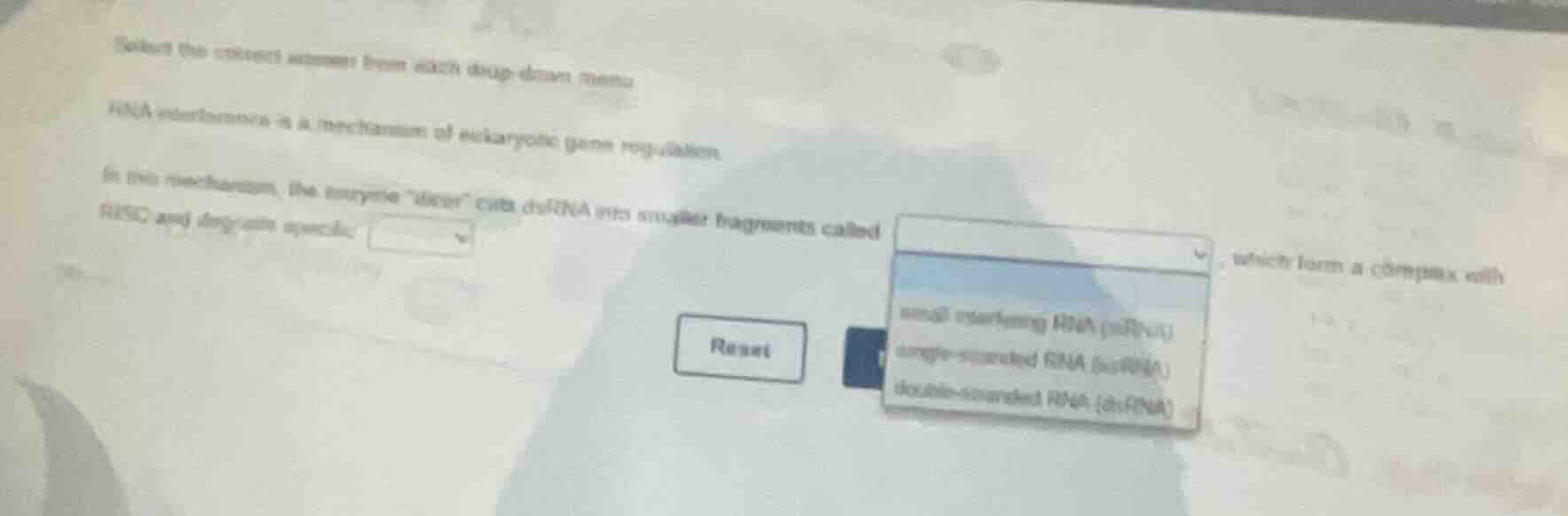 select the correct answer from each drop - down menu. rna interference …