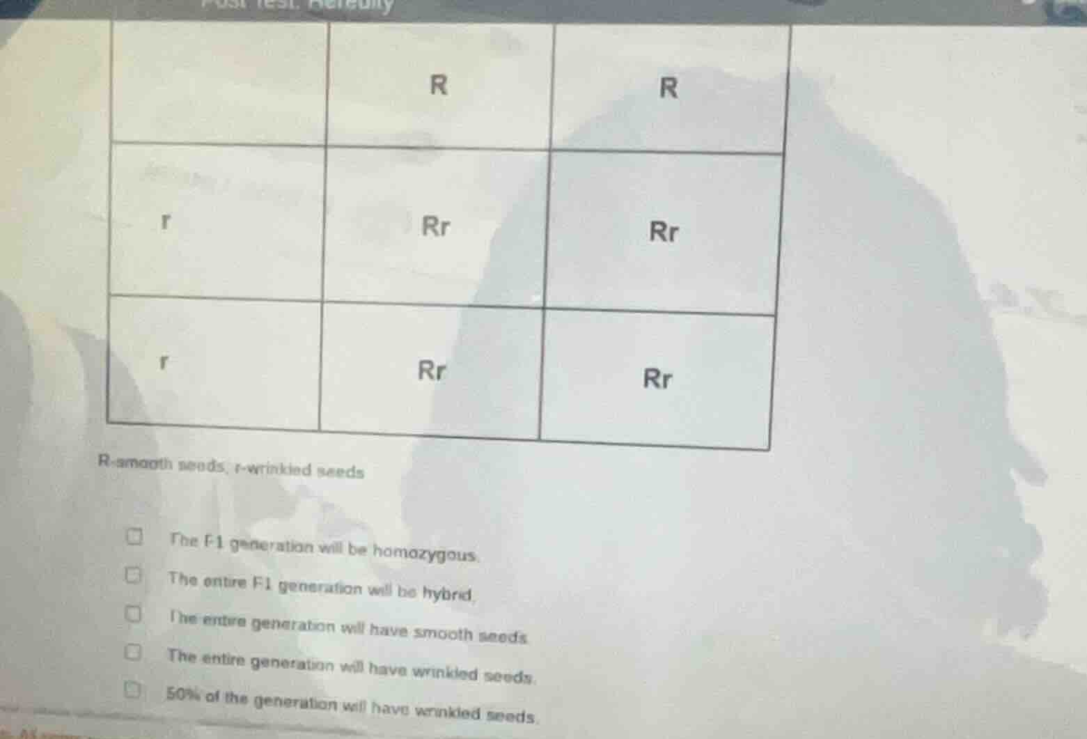 r r r rr rr r rr rr r-smooth seeds, r-wrinkled seeds the f1 generation …