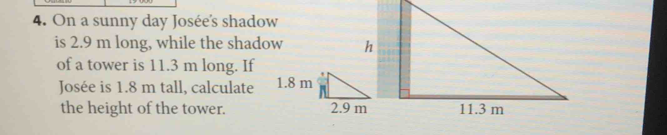 4. on a sunny day josée’s shadow is 2.9 m long, while the shadow of a t…
