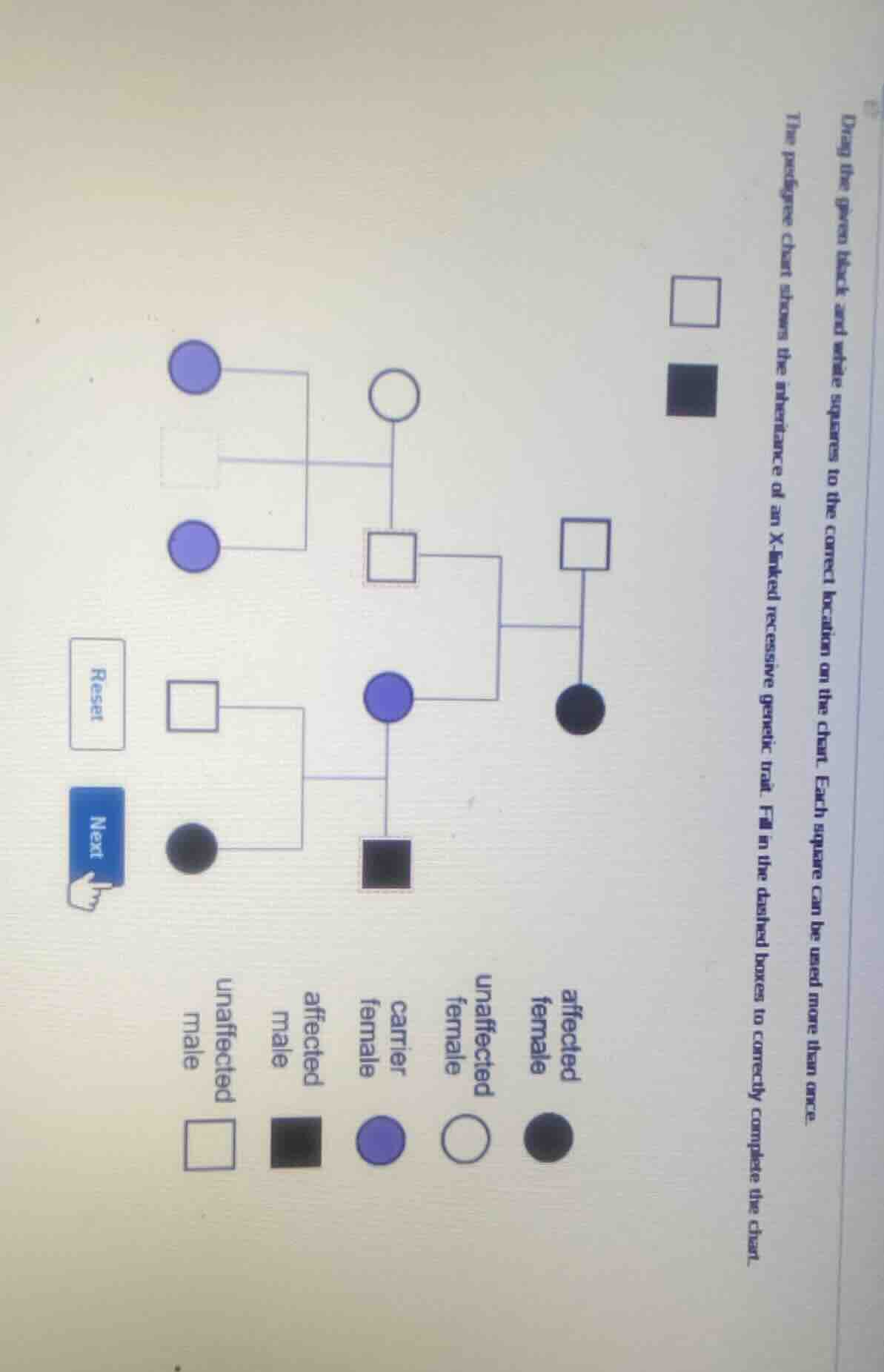drag the given black and white squares to the correct location on the c…