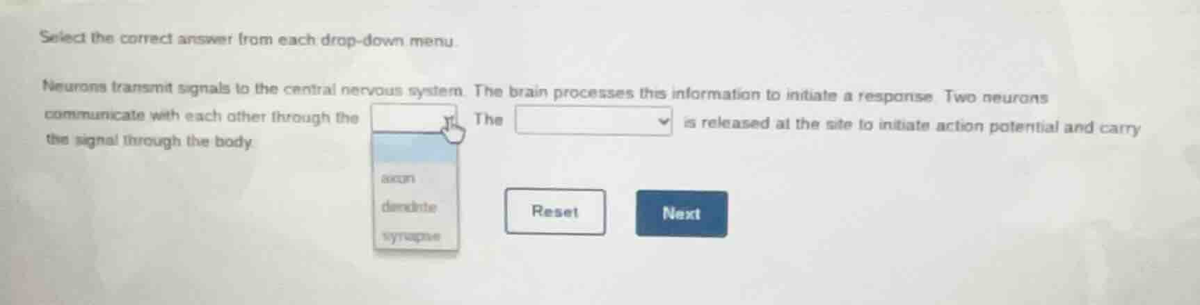 select the correct answer from each drop - down menu. neurons transmit …