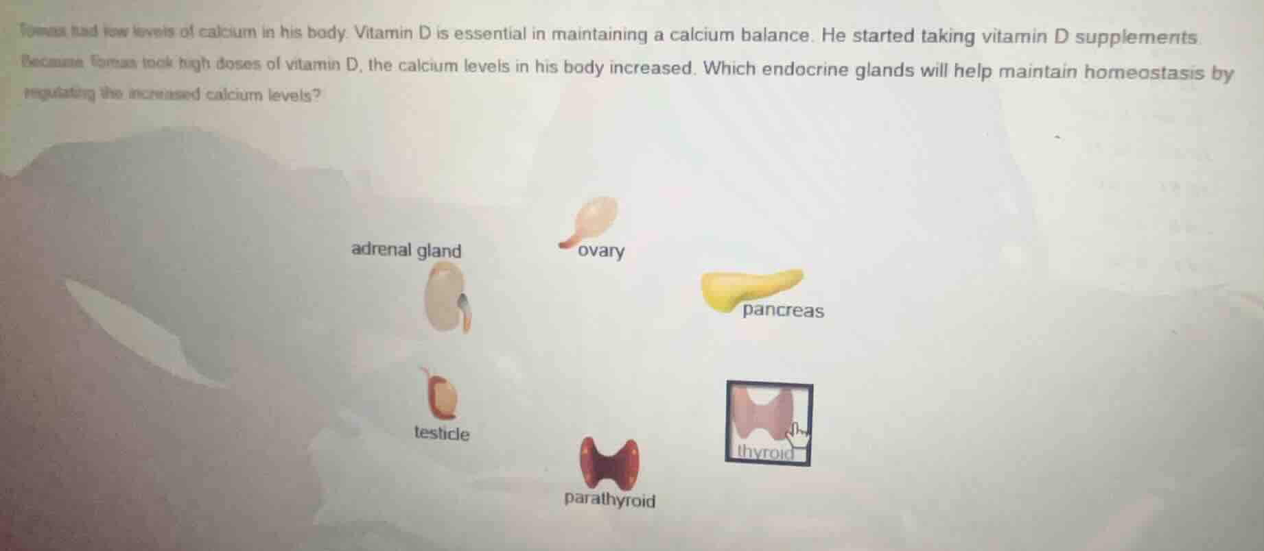 tomas had low levels of calcium in his body. vitamin d is essential in …