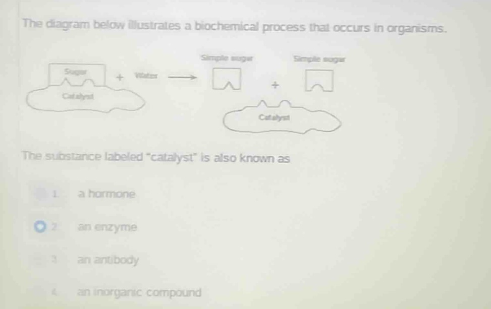 the diagram below illustrates a biochemical process that occurs in orga…