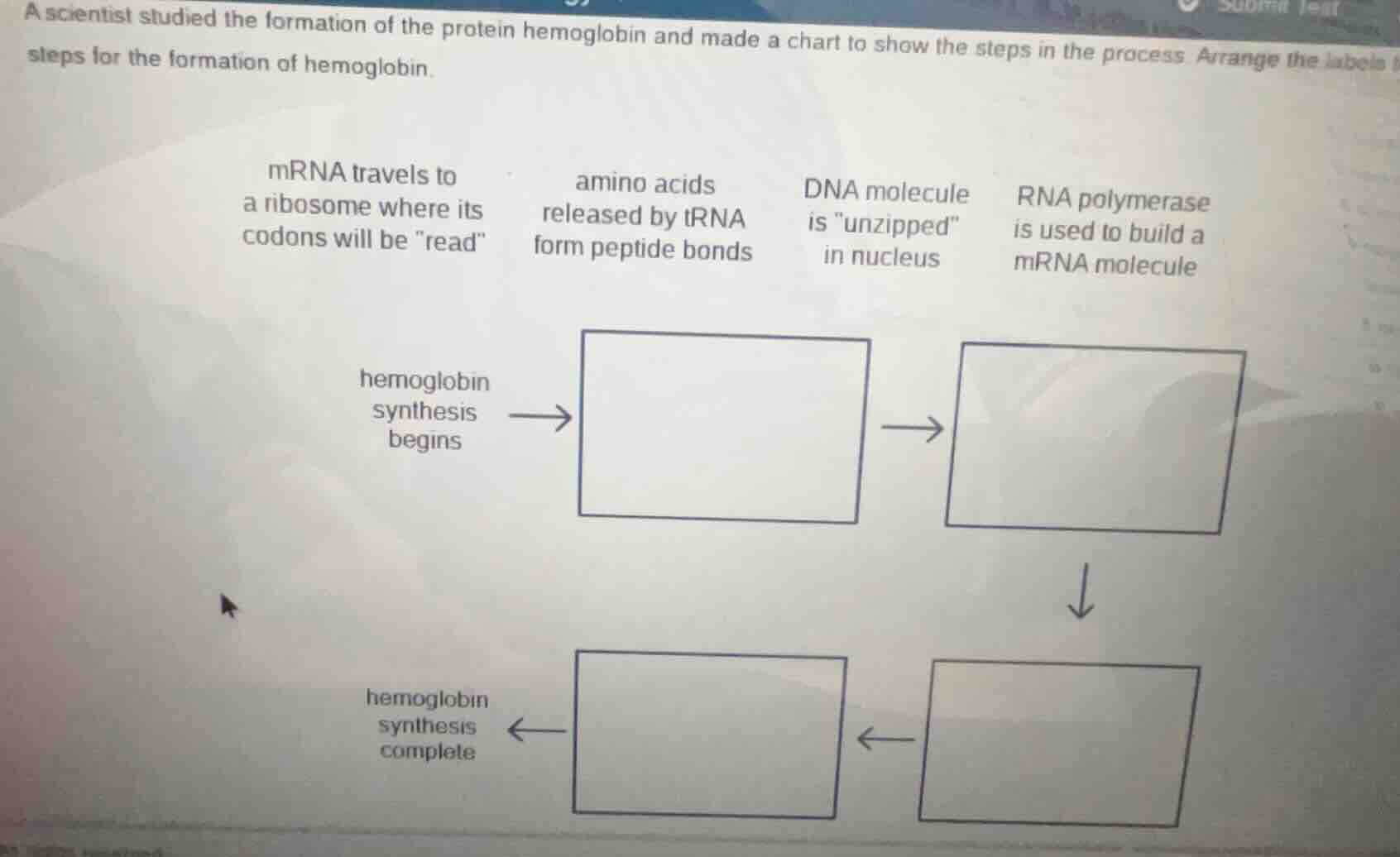a scientist studied the formation of the protein hemoglobin and made a …