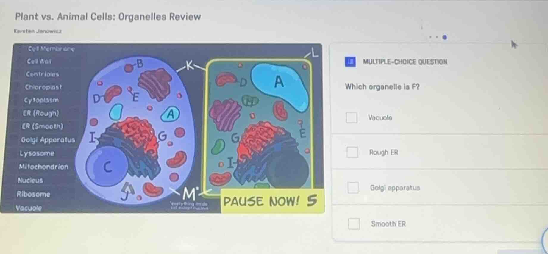 plant vs. animal cells: organelles review karsten janowicz multiple-cho…