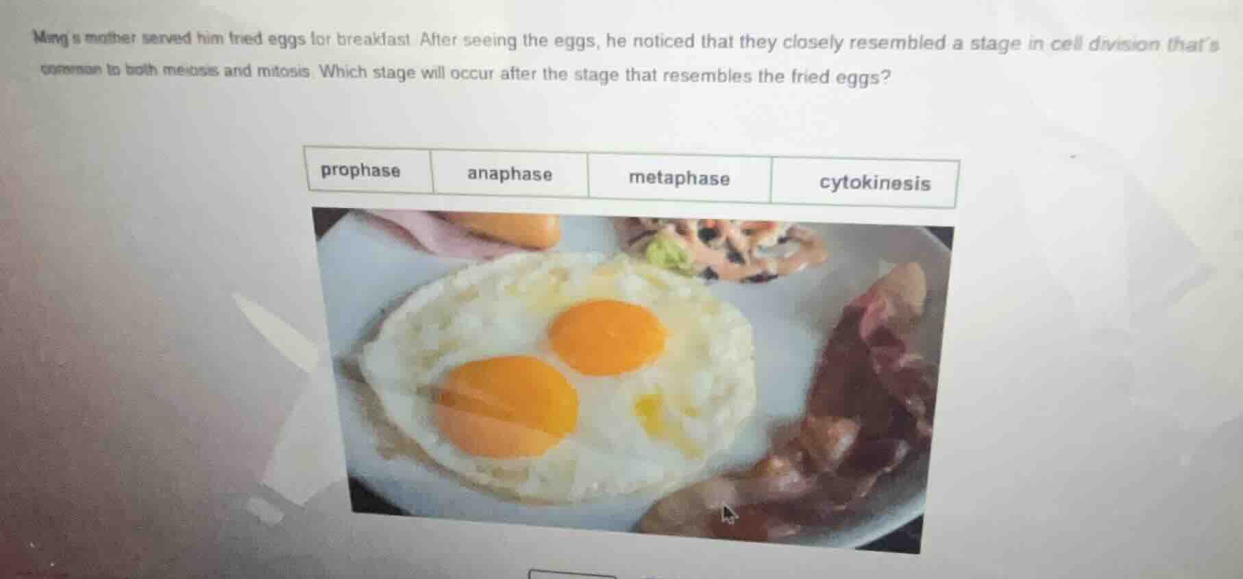 mengs mother served him fried eggs for breakfast. after seeing the eggs…