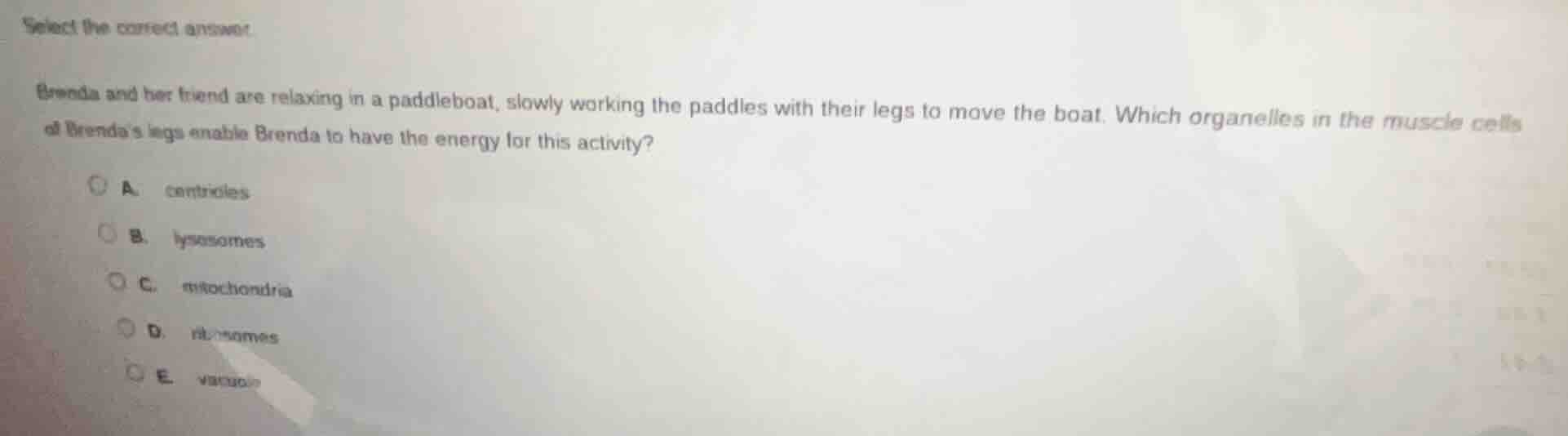 select the correct answer. brenda and her friend are relaxing in a padd…