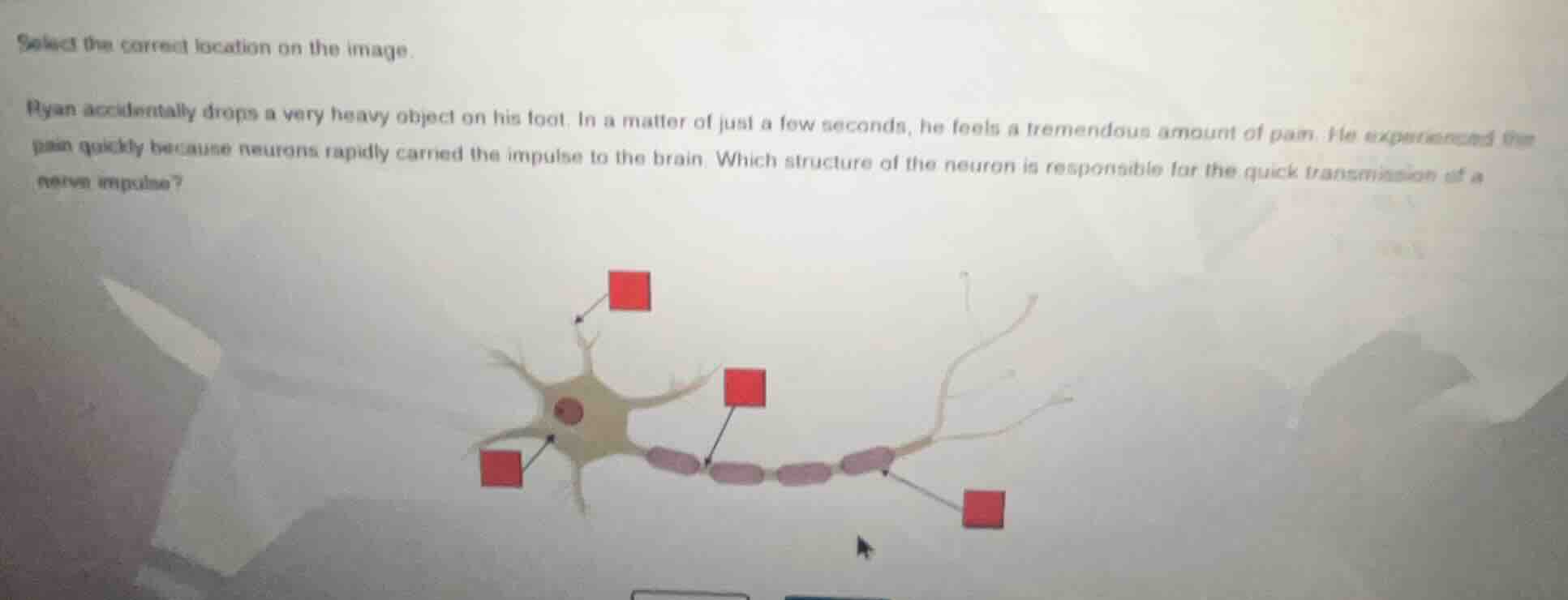 select the correct location on the image. ryan accidentally drops a ver…
