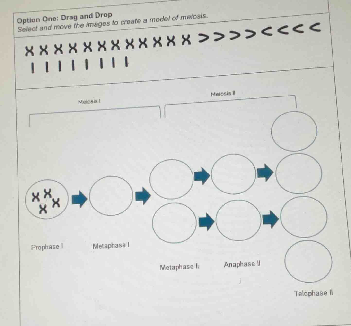 option one: drag and drop select and move the images to create a model …