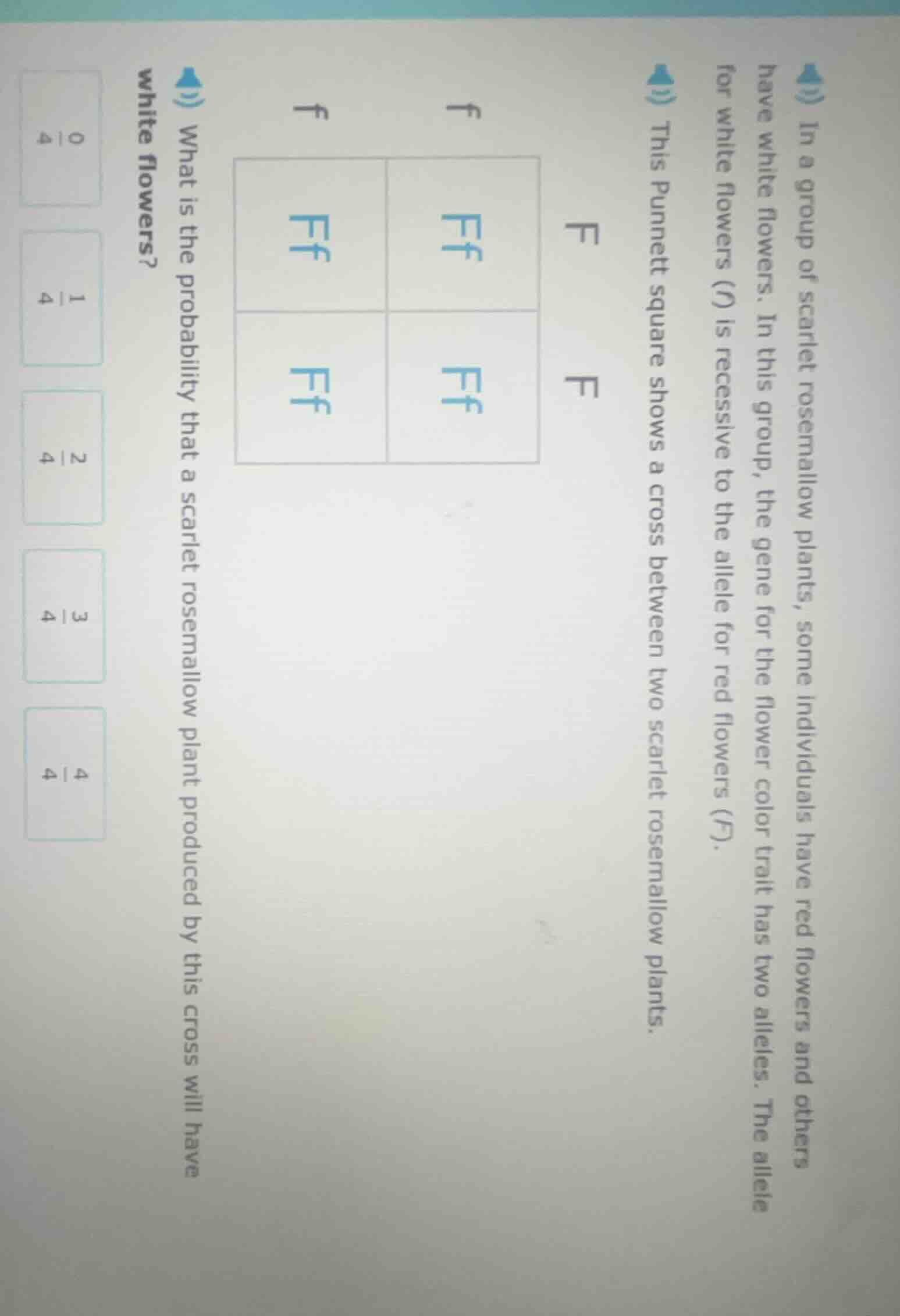 in a group of scarlet rosemallow plants, some individuals have red flow…