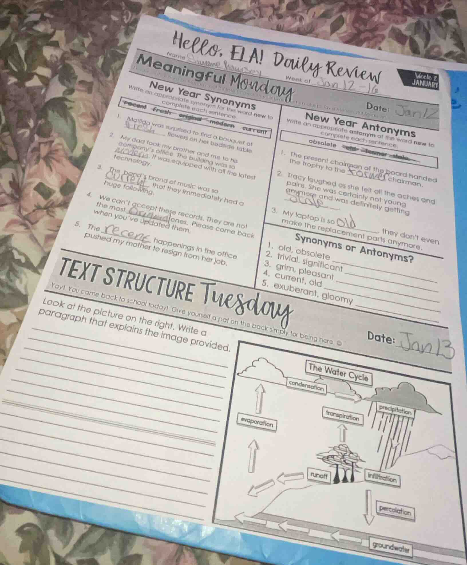 hello, ela! daily review name: student name week of: jan 12 - 16 week 2…