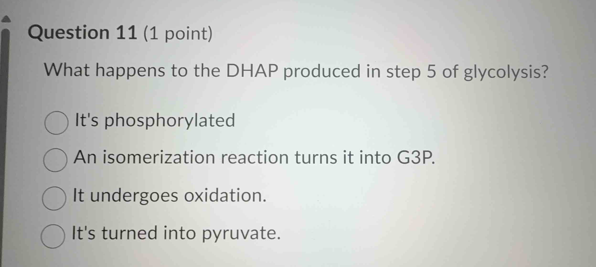 question 11 (1 point) what happens to the dhap produced in step 5 of gl…