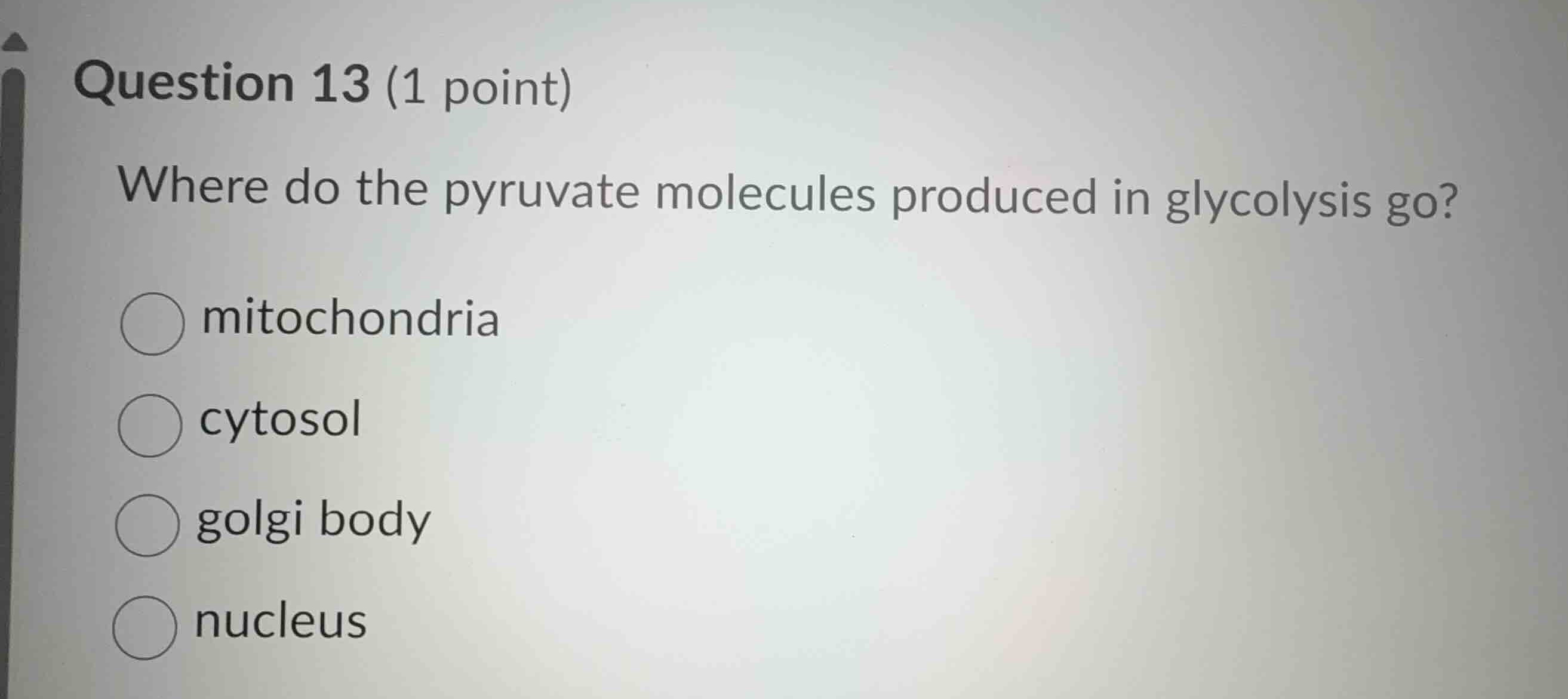 question 13 (1 point) where do the pyruvate molecules produced in glyco…