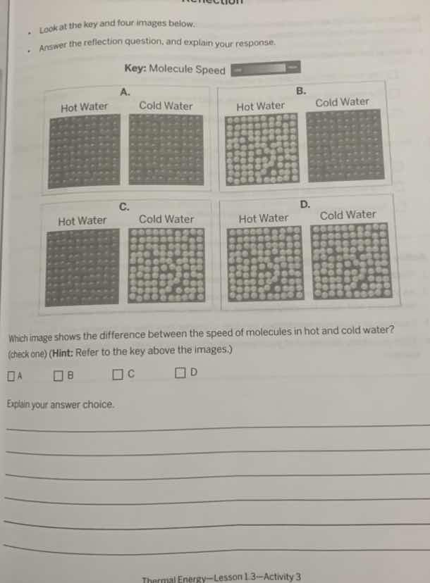 look at the key and four images below. answer the reflection question, …