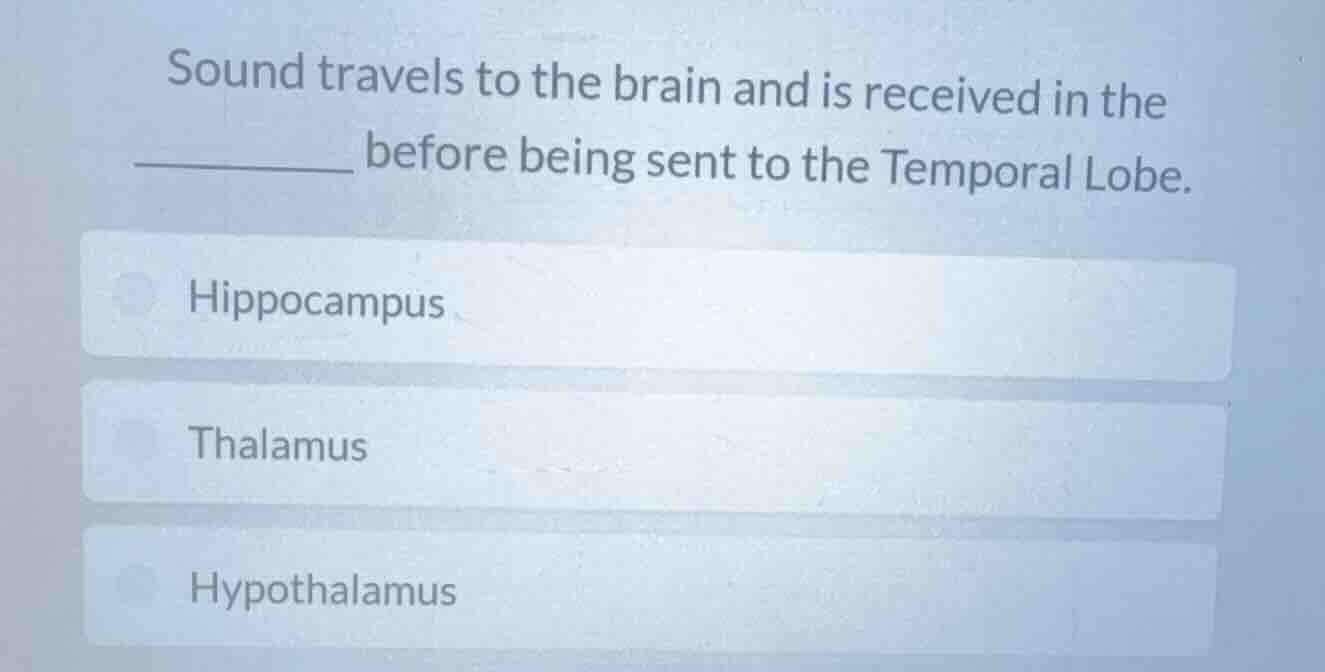 sound travels to the brain and is received in the ______ before being s…