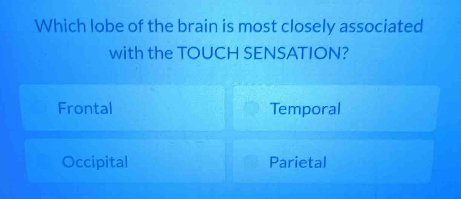 which lobe of the brain is most closely associated with the touch sensa…