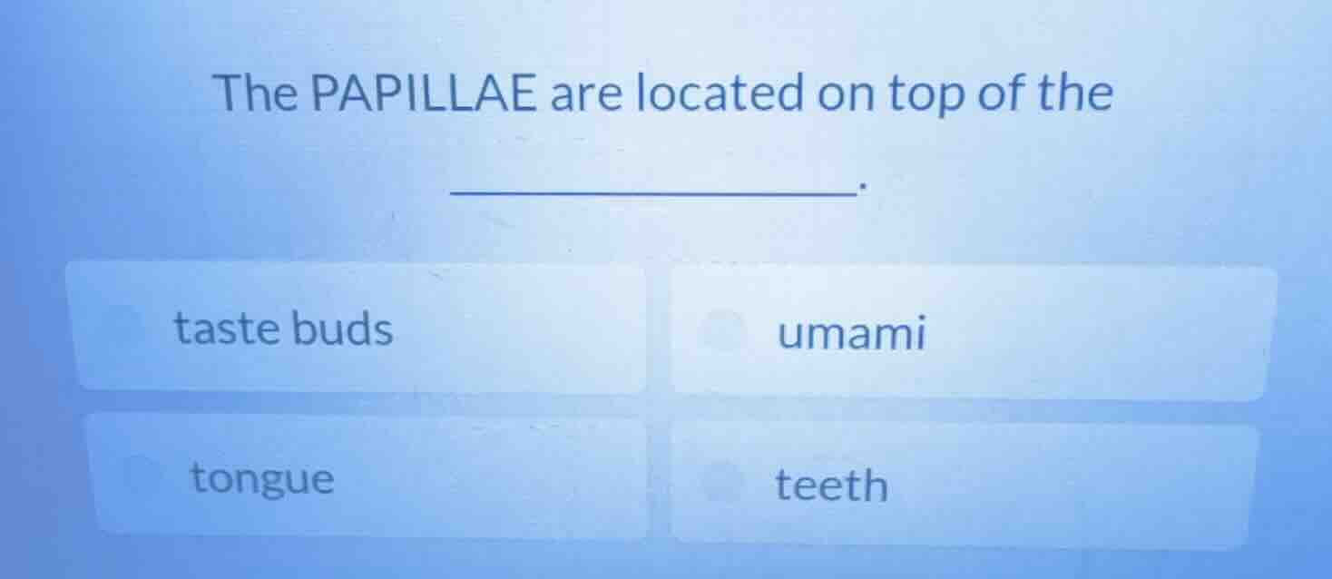the papillae are located on top of the ______. options: taste buds, uma…