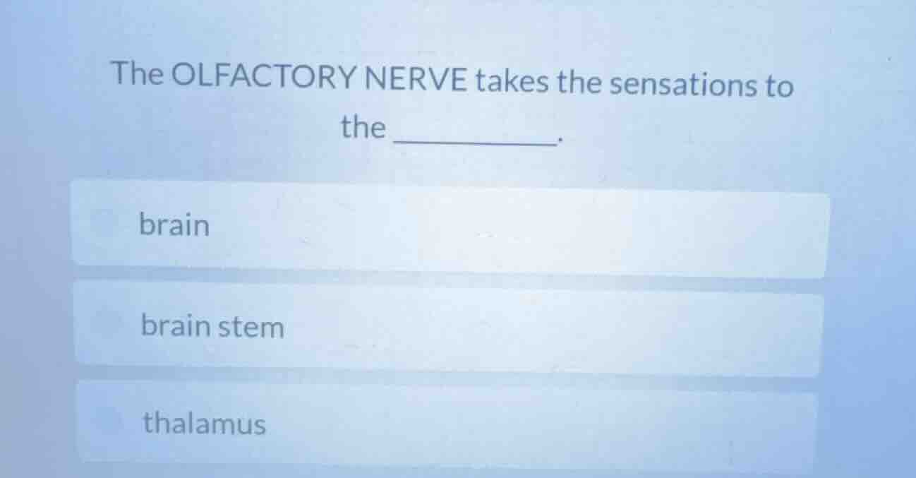 the olfactory nerve takes the sensations to the _______. brain brain st…