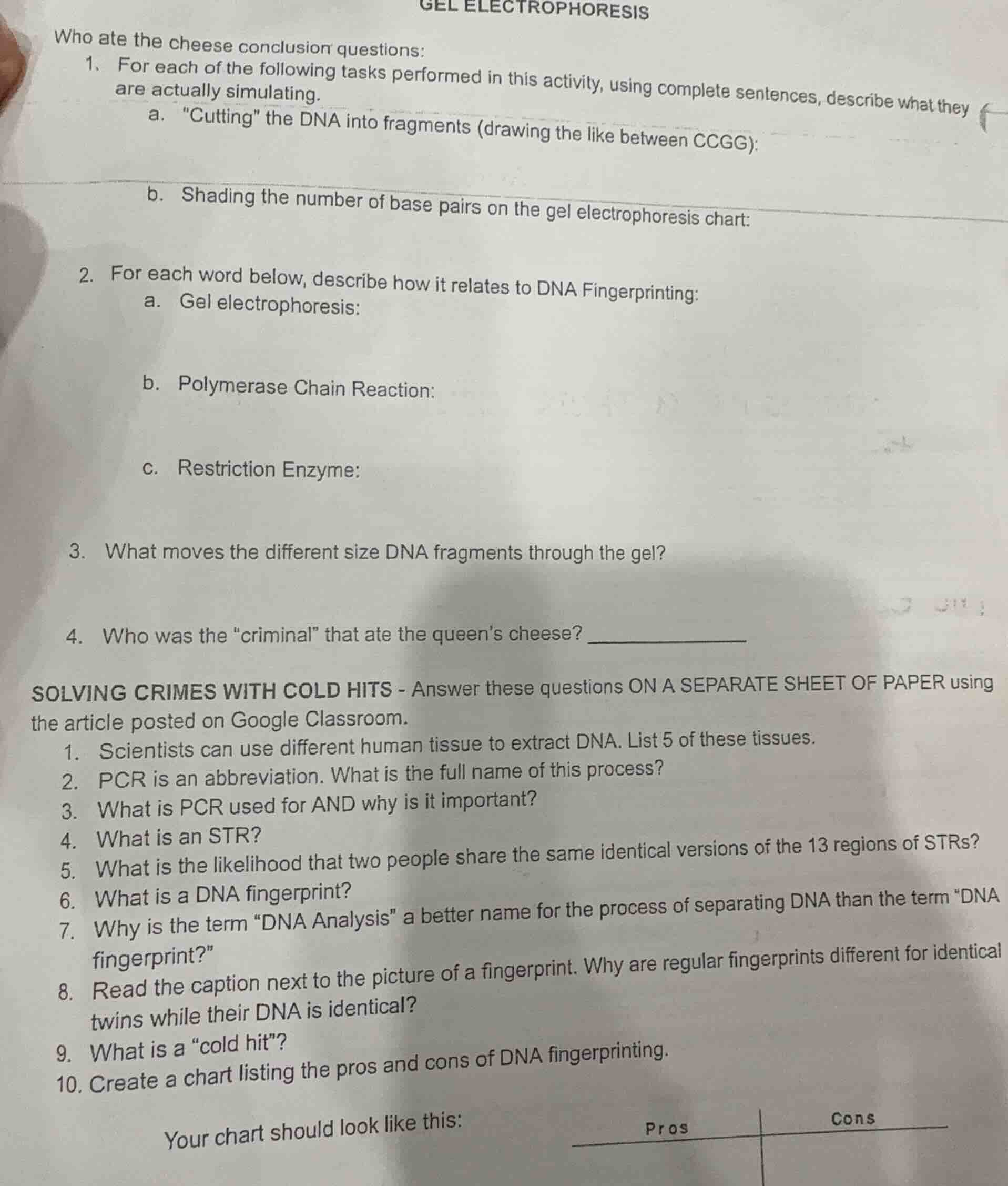 gel electrophoresis who ate the cheese conclusion questions: 1. for eac…