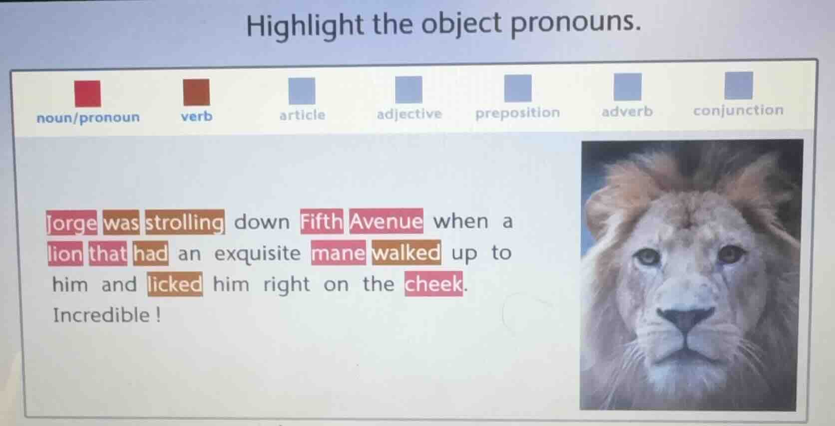 highlight the object pronouns. noun/pronoun verb article adjective prep…