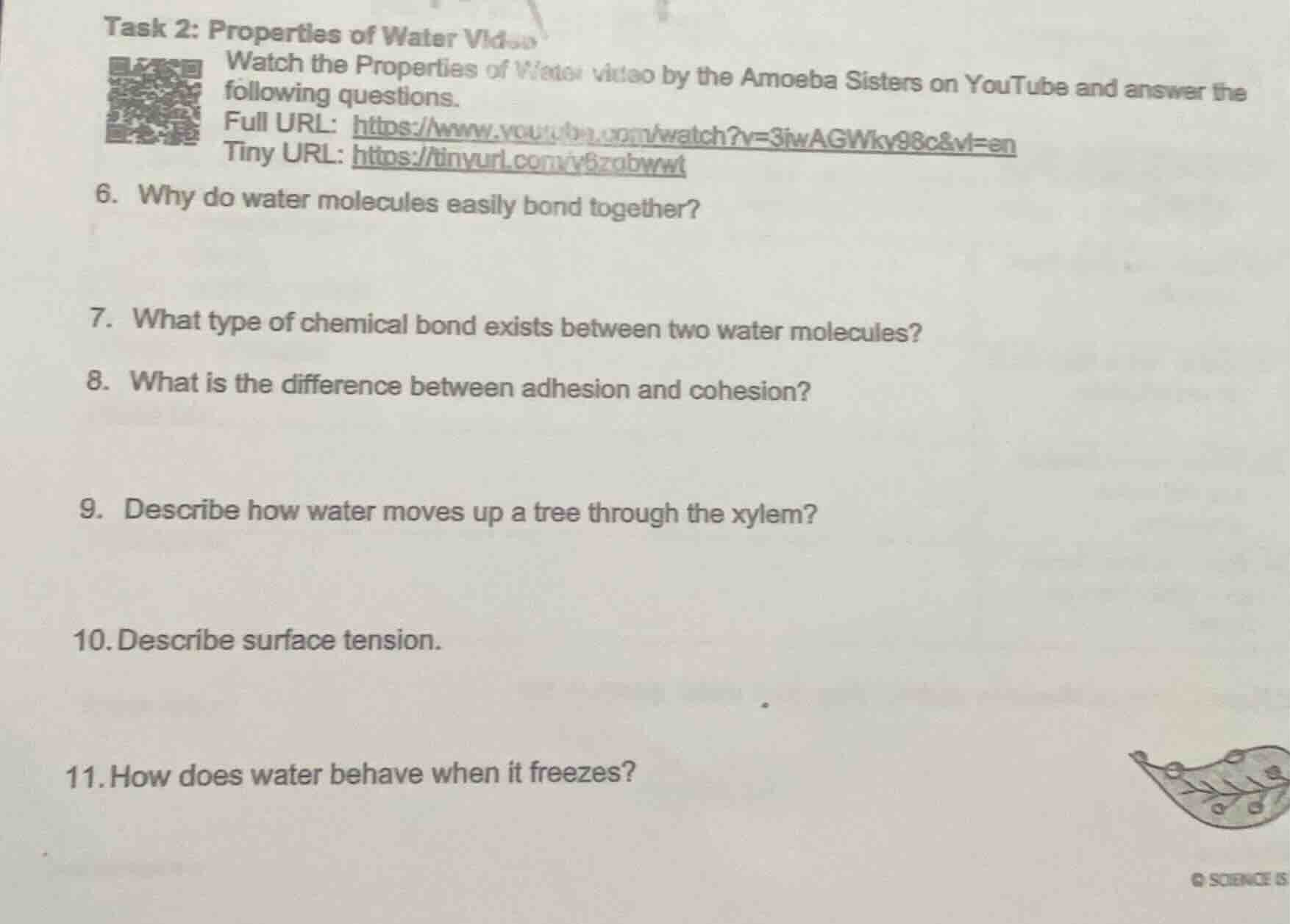 task 2: properties of water video watch the properties of water video b…