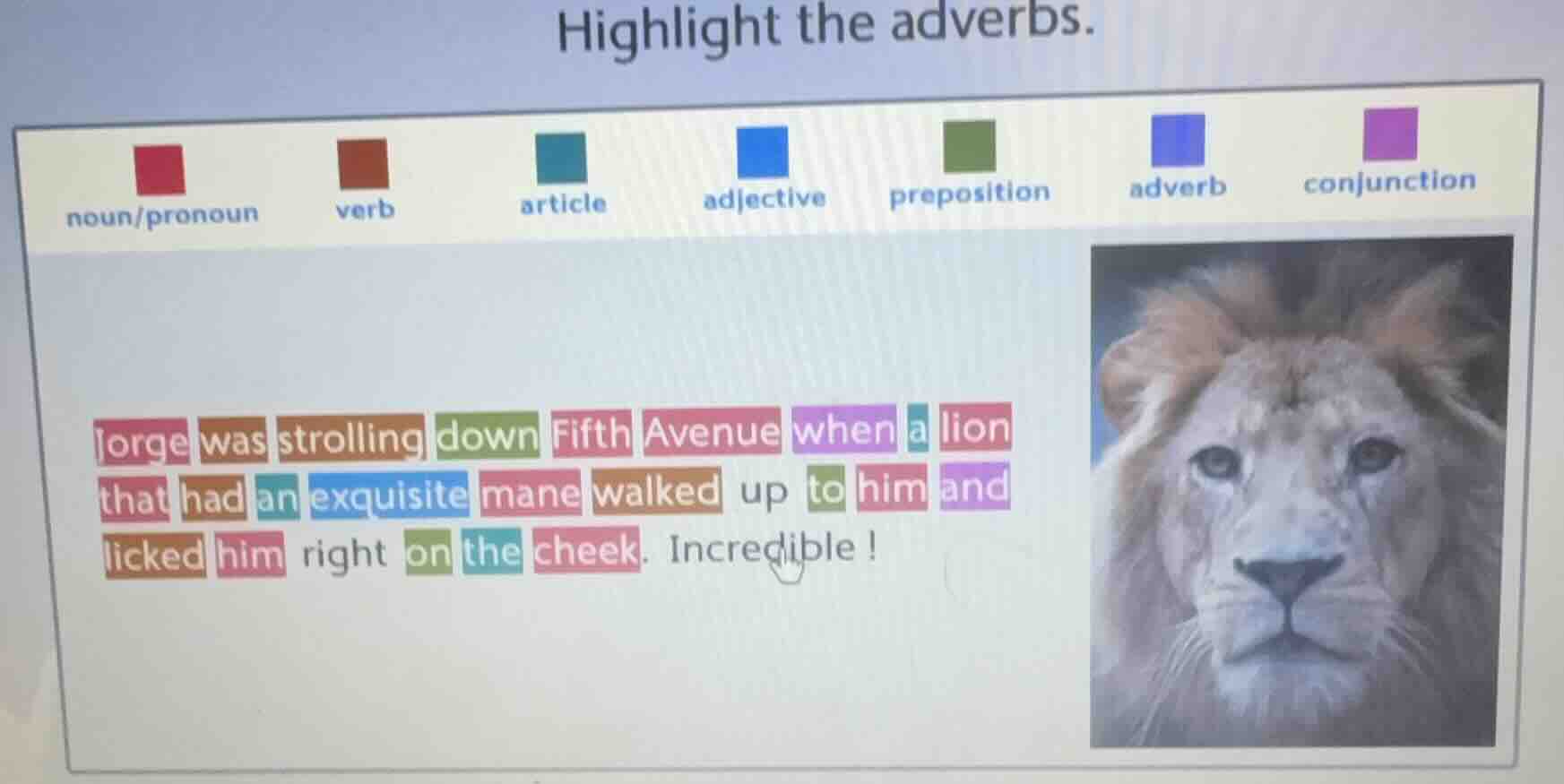 highlight the adverbs. noun/pronoun verb article adjective preposition …