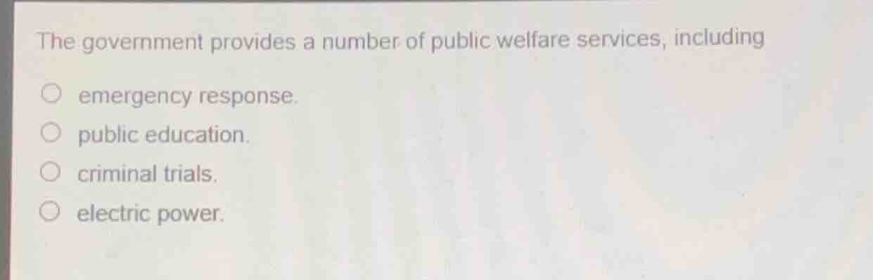 the government provides a number of public welfare services, including …