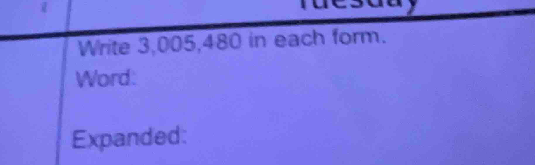 write 3,005,480 in each form. word: expanded:
