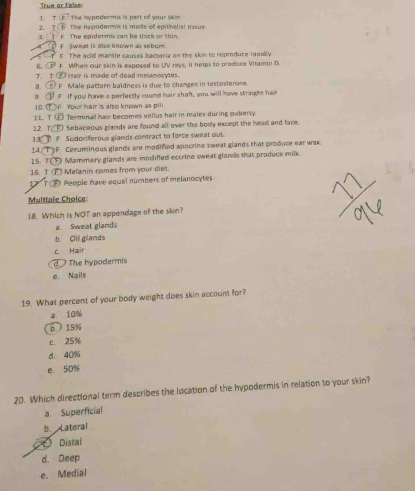 true or false: 1. t f the hypodermis is part of your skin. 2. t f the h…