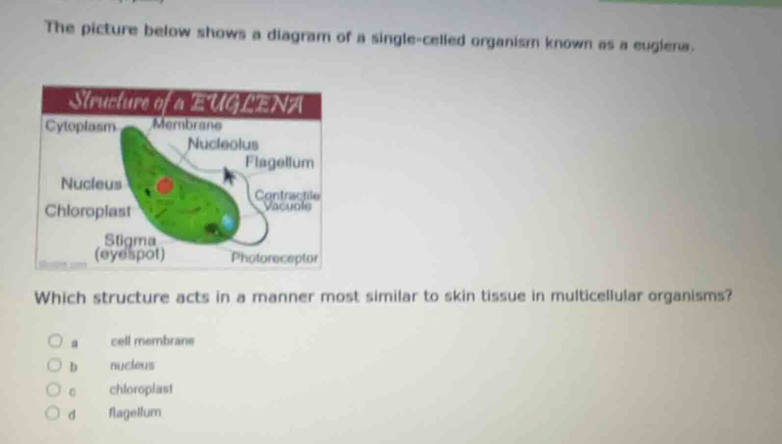 the picture below shows a diagram of a single - celled organism known a…