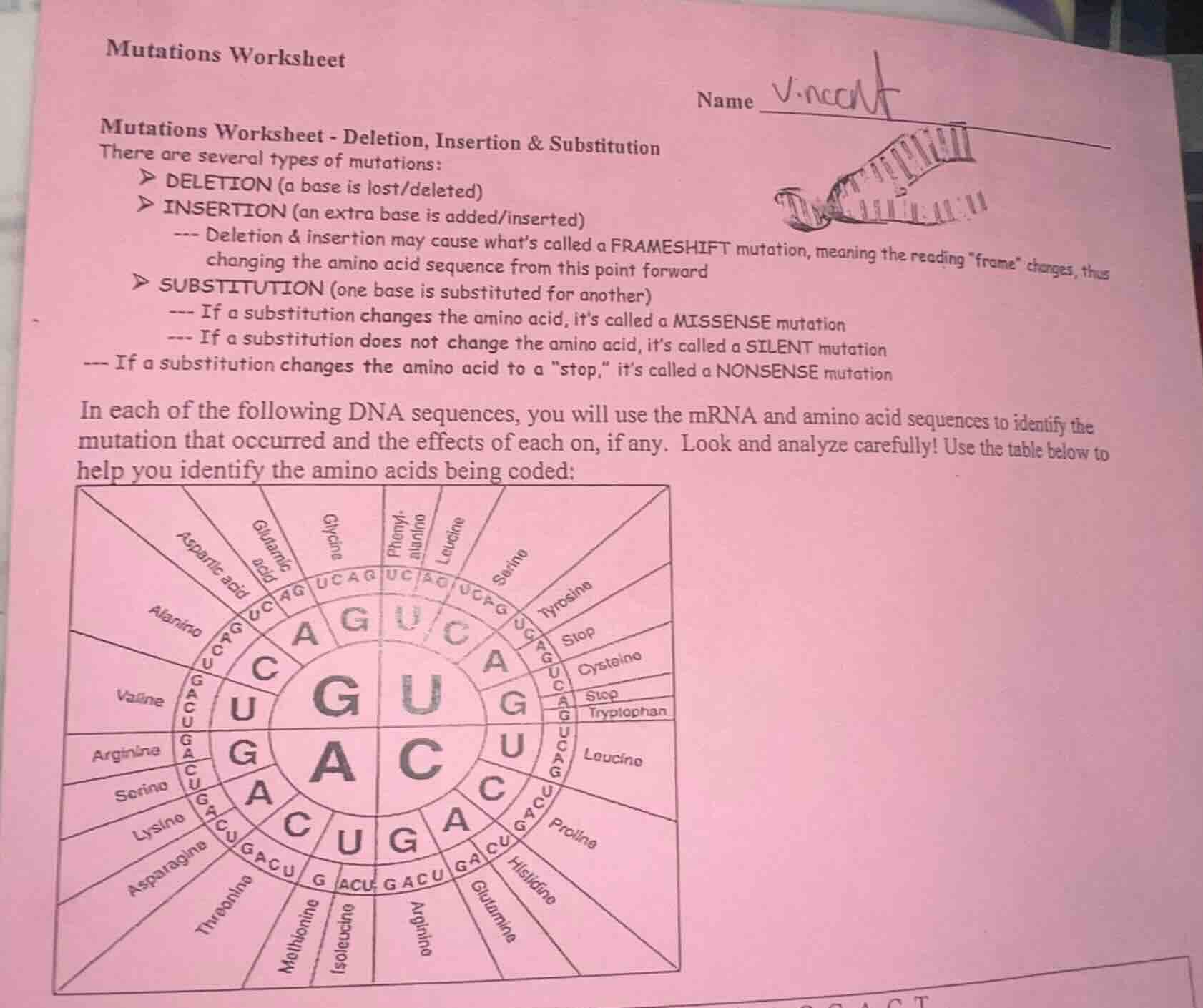 mutations worksheet name vincent mutations worksheet - deletion, insert…