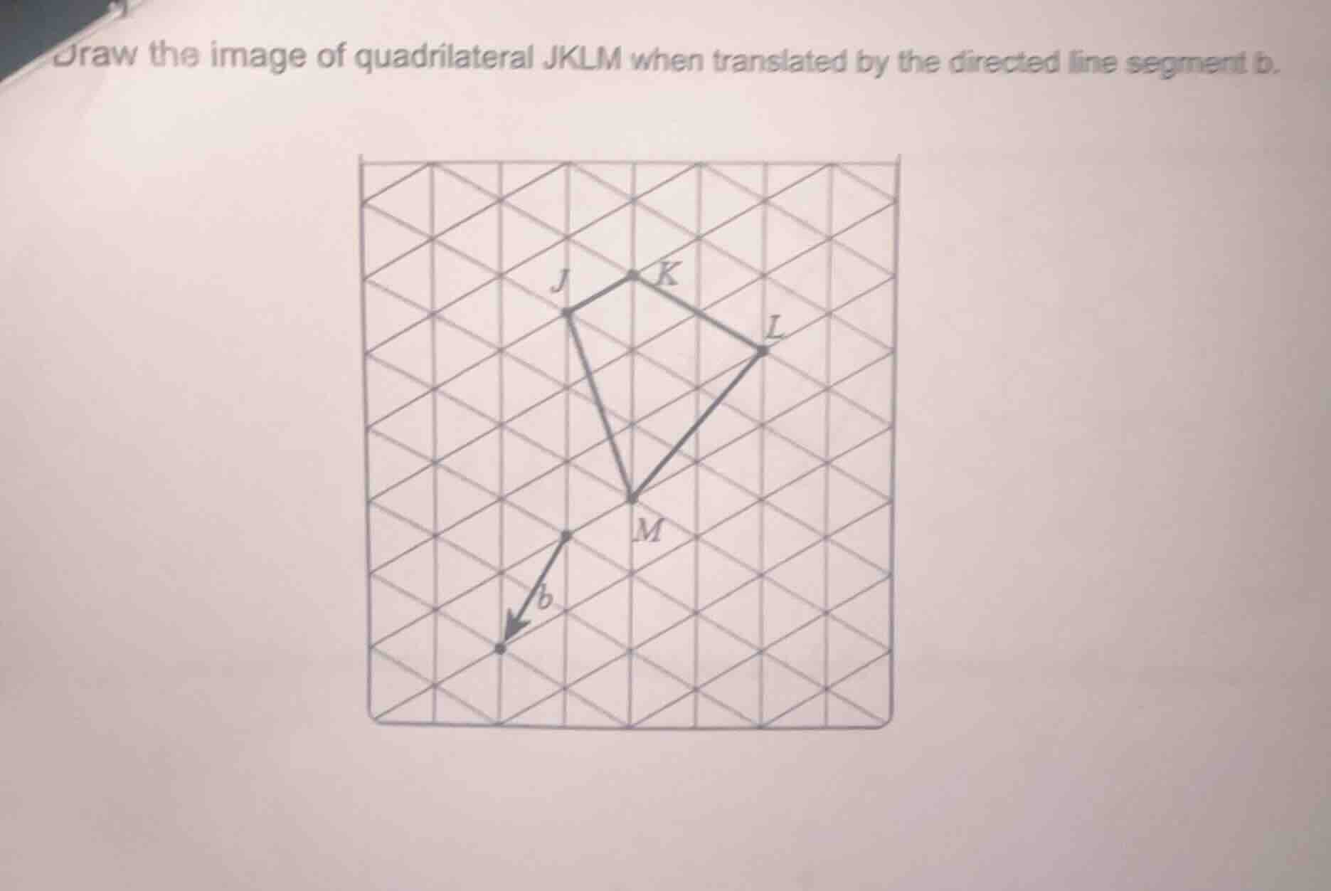 draw the image of quadrilateral jklm when translated by the directed li…