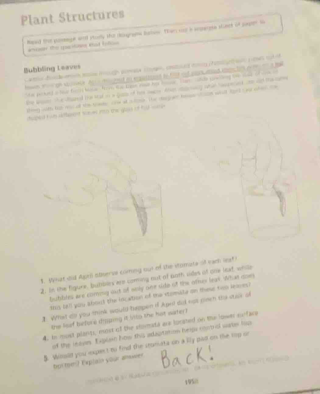 plant structures read the passage and study the diagrams below. you can…