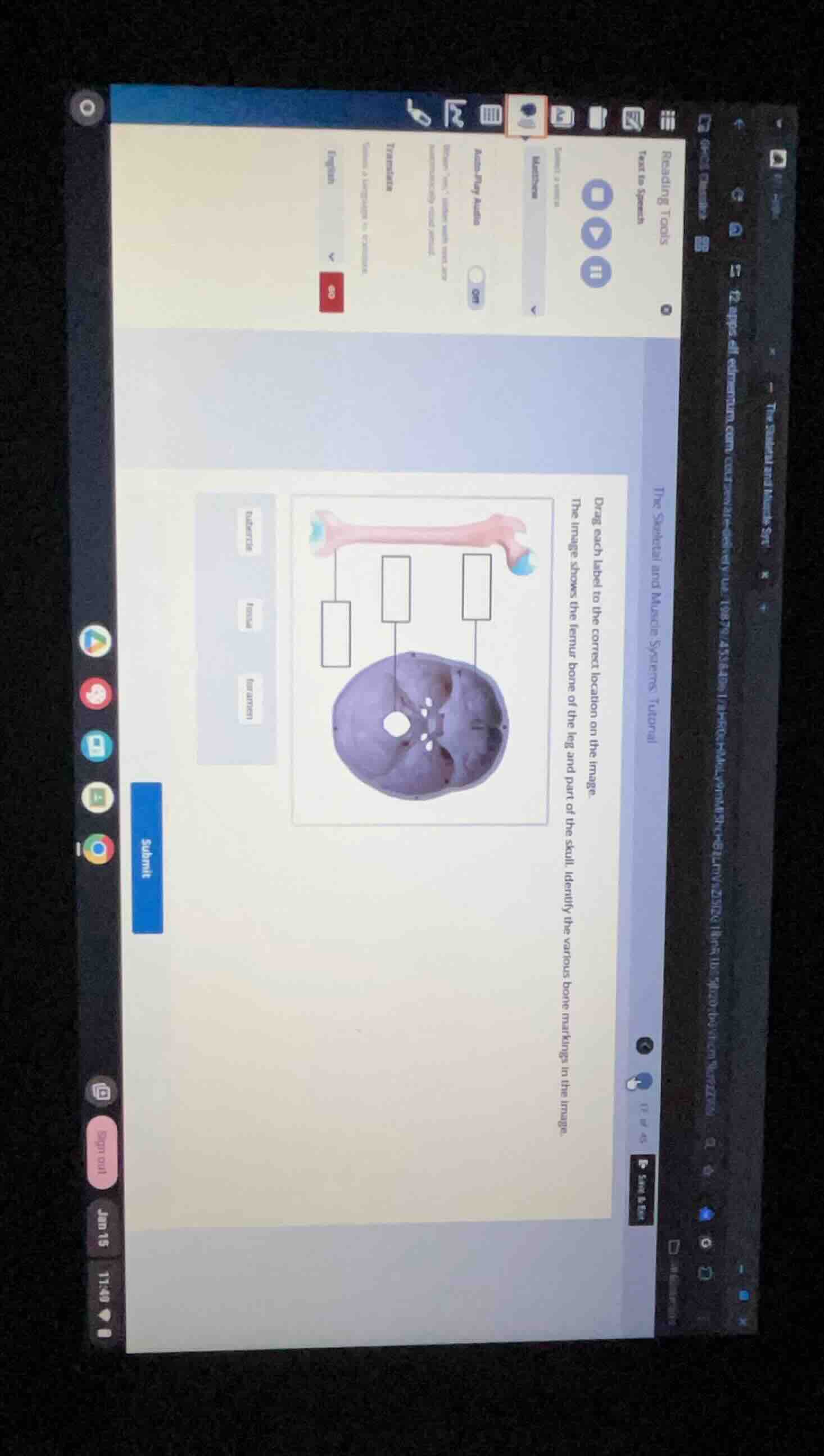 drag each label to the correct location on the image. the image shows t…