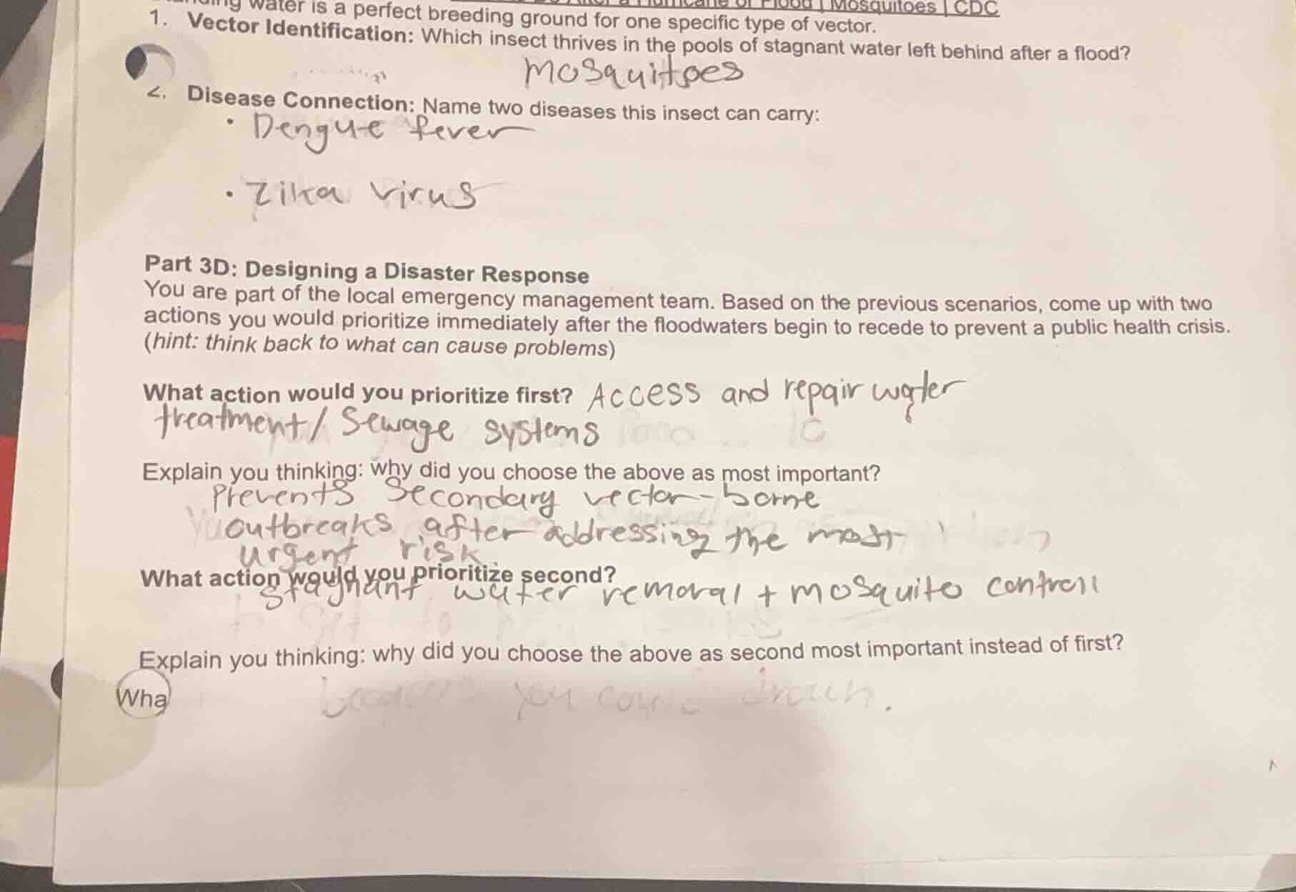 water is a perfect breeding ground for one specific type of vector. 1. …