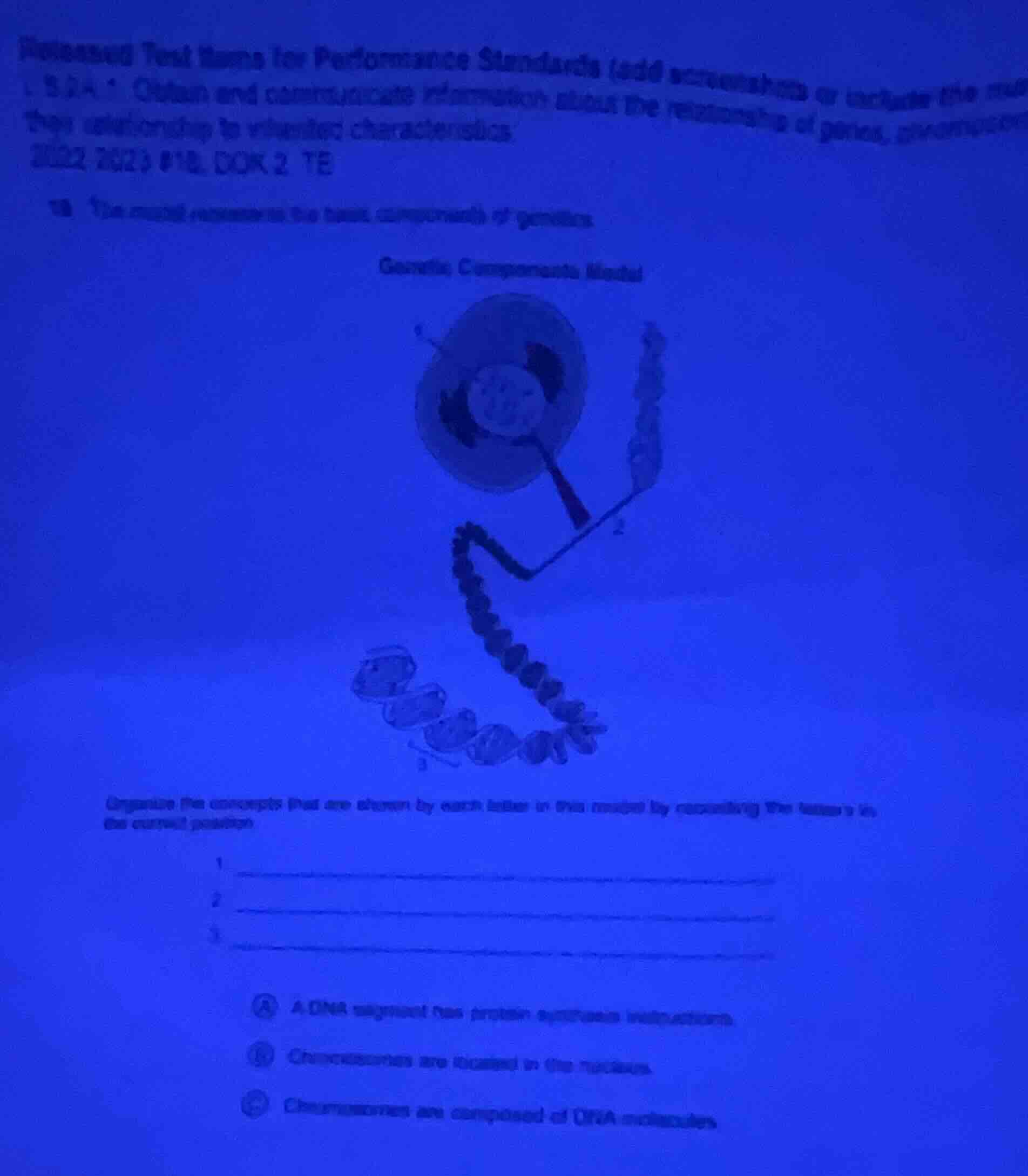 itemized test items for performance standards (add screenshots or inclu…