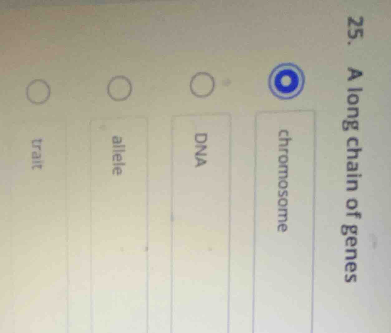 25. a long chain of genes chromosome dna allele trait