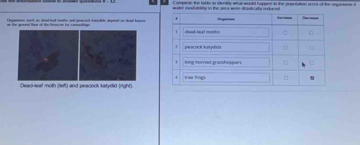 organisms such as dead - leaf moths and peacock katydids depend on dead…