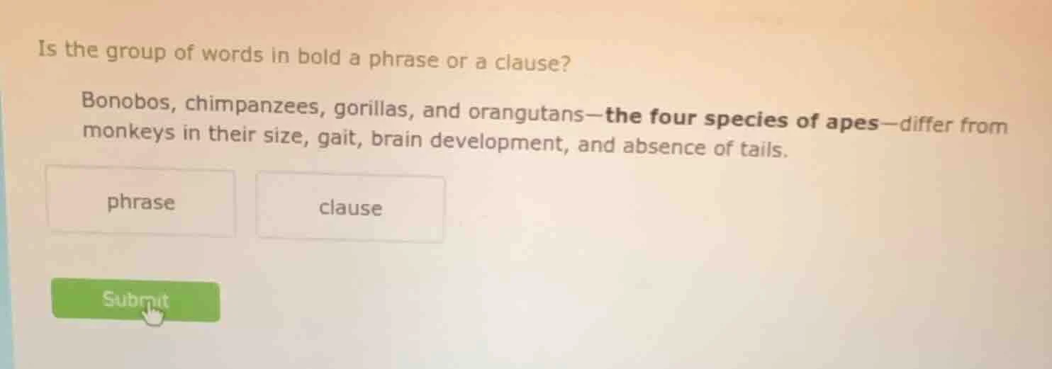 is the group of words in bold a phrase or a clause? bonobos, chimpanzee…