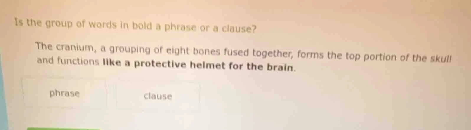 is the group of words in bold a phrase or a clause? the cranium, a grou…