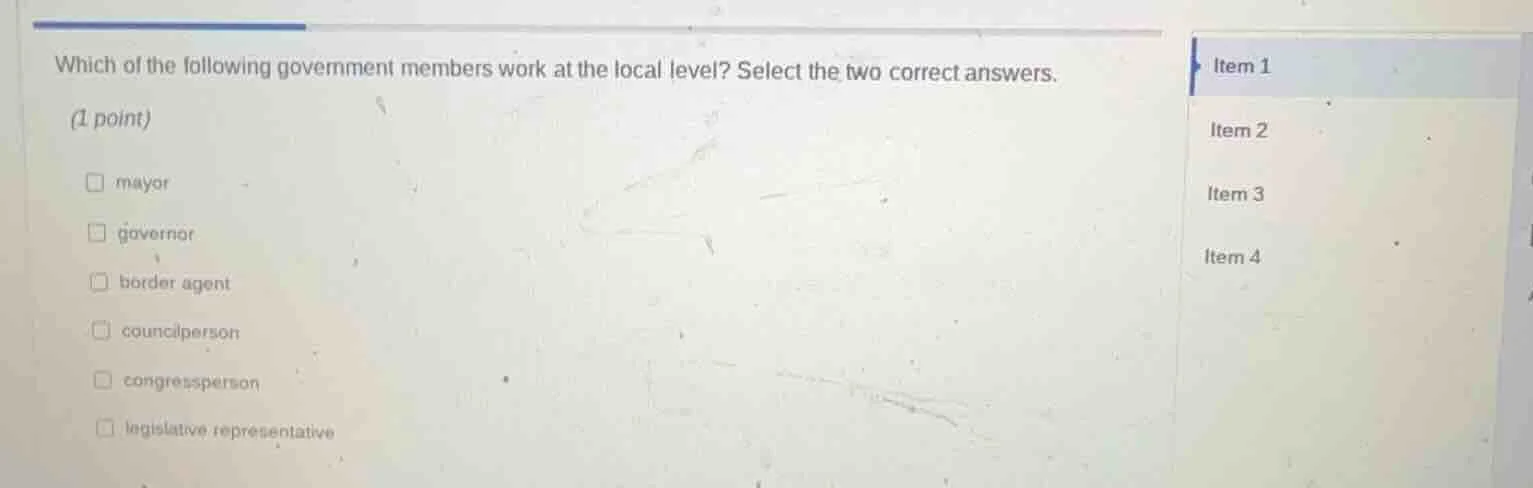 which of the following government members work at the local level? sele…