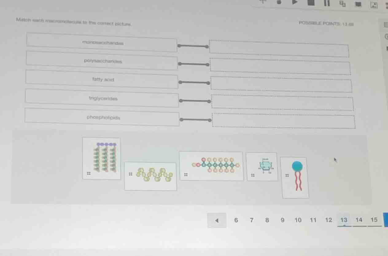 match each macromolecule to the correct picture. monosaccharides polysa…