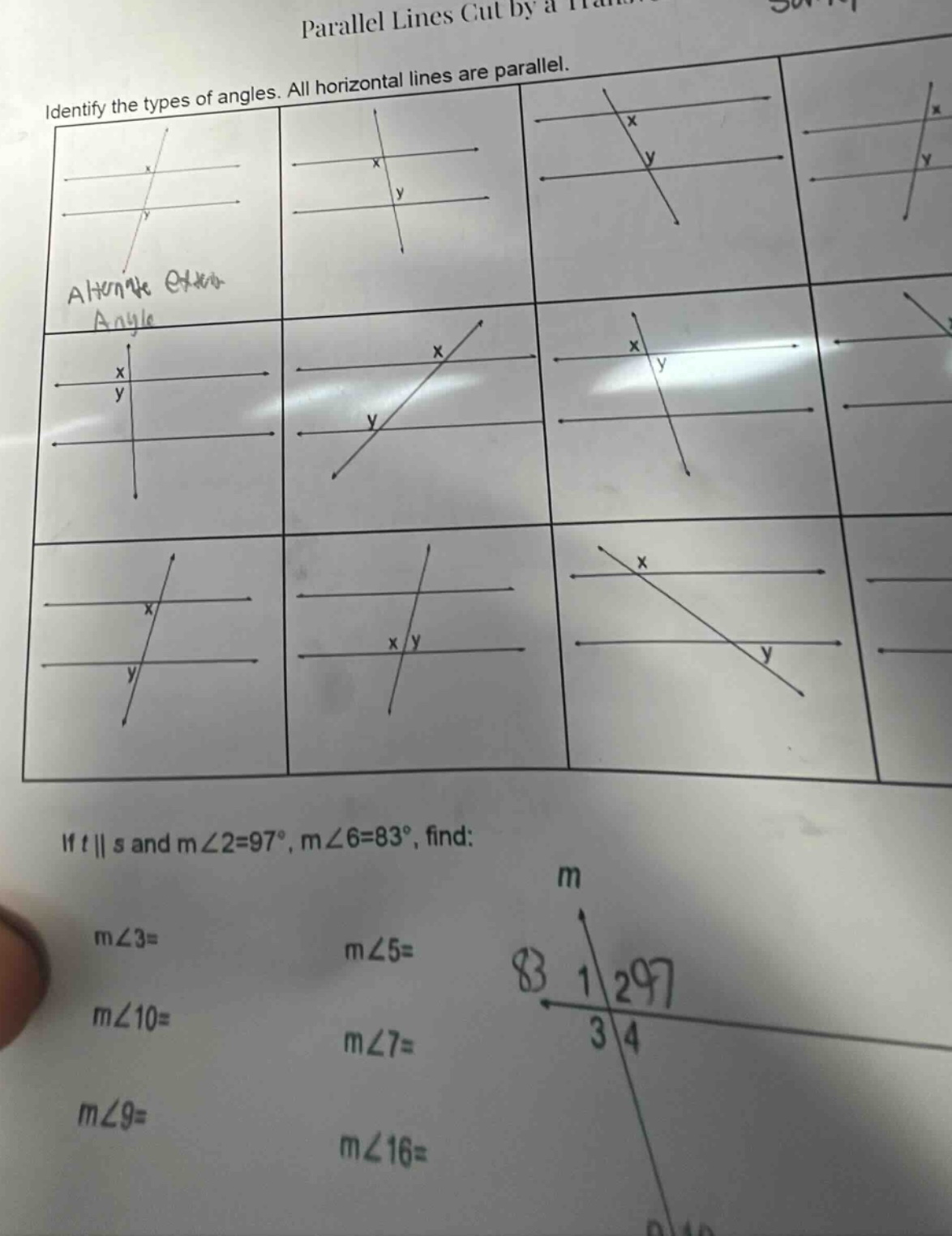 parallel lines cut by a transversal identify the types of angles. all h…