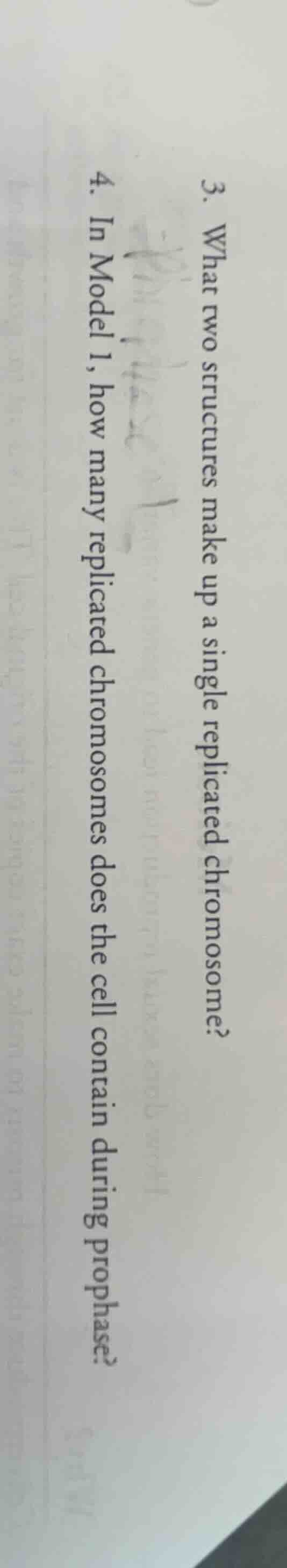 3. what two structures make up a single replicated chromosome? 4. in mo…