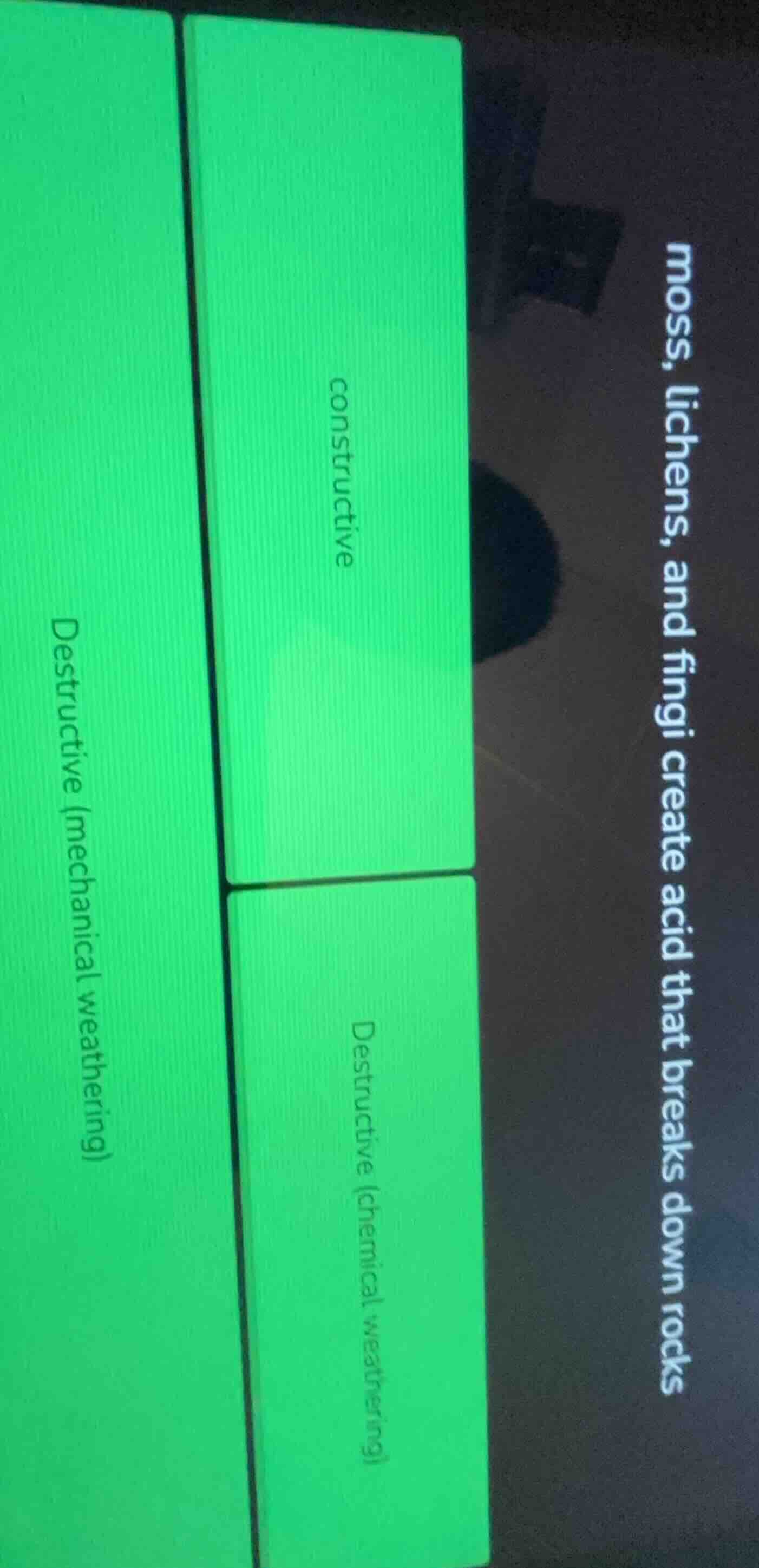 moss, lichens, and fungi create acid that breaks down rocks; constructi…