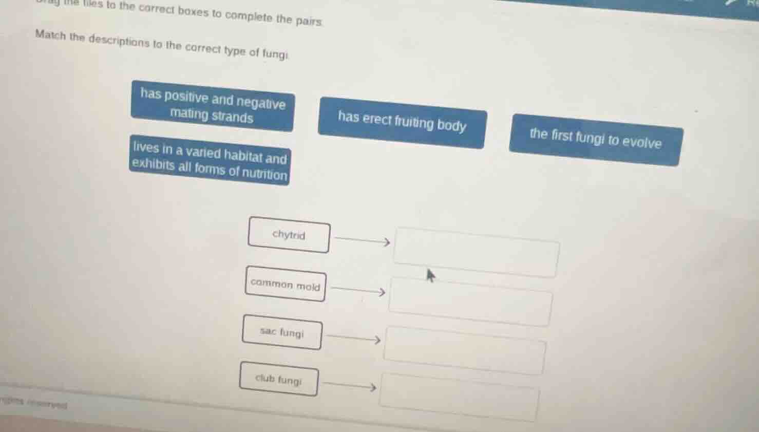 drag the tiles to the correct boxes to complete the pairs. match the de…