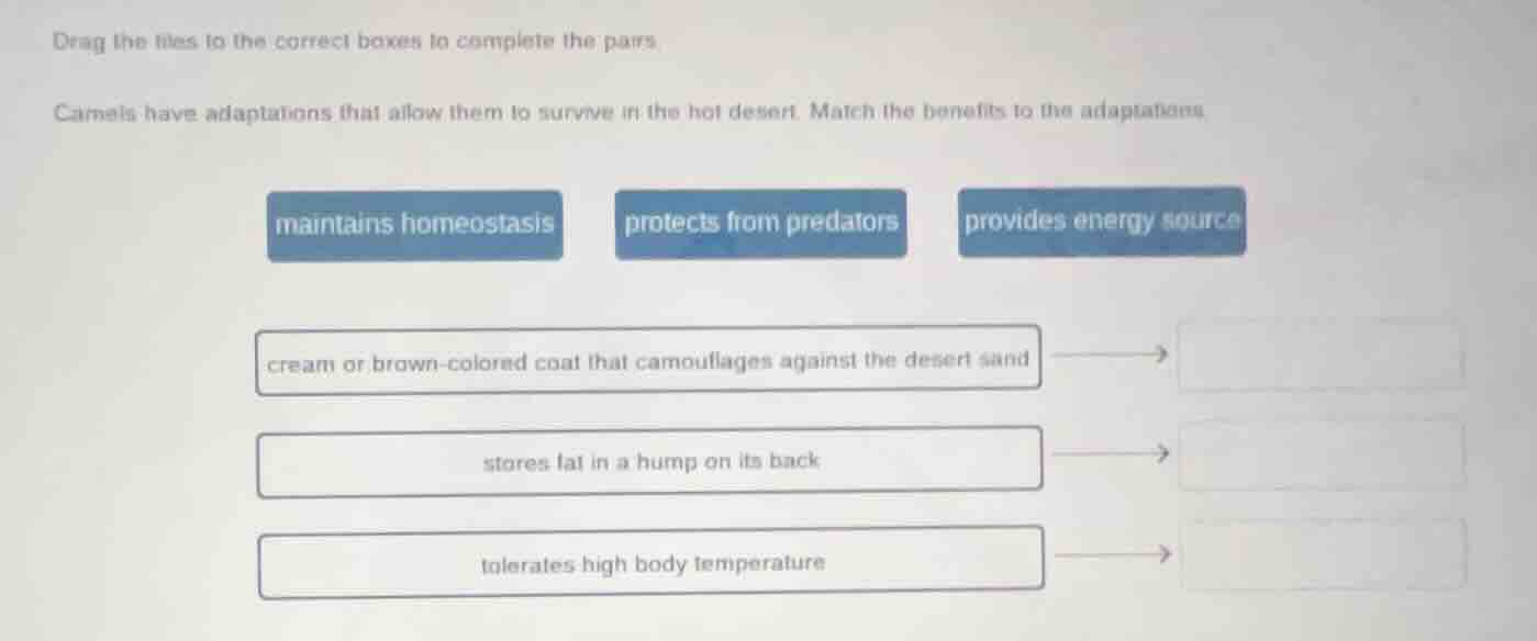 drag the tiles to the correct boxes to complete the pairs. camels have …