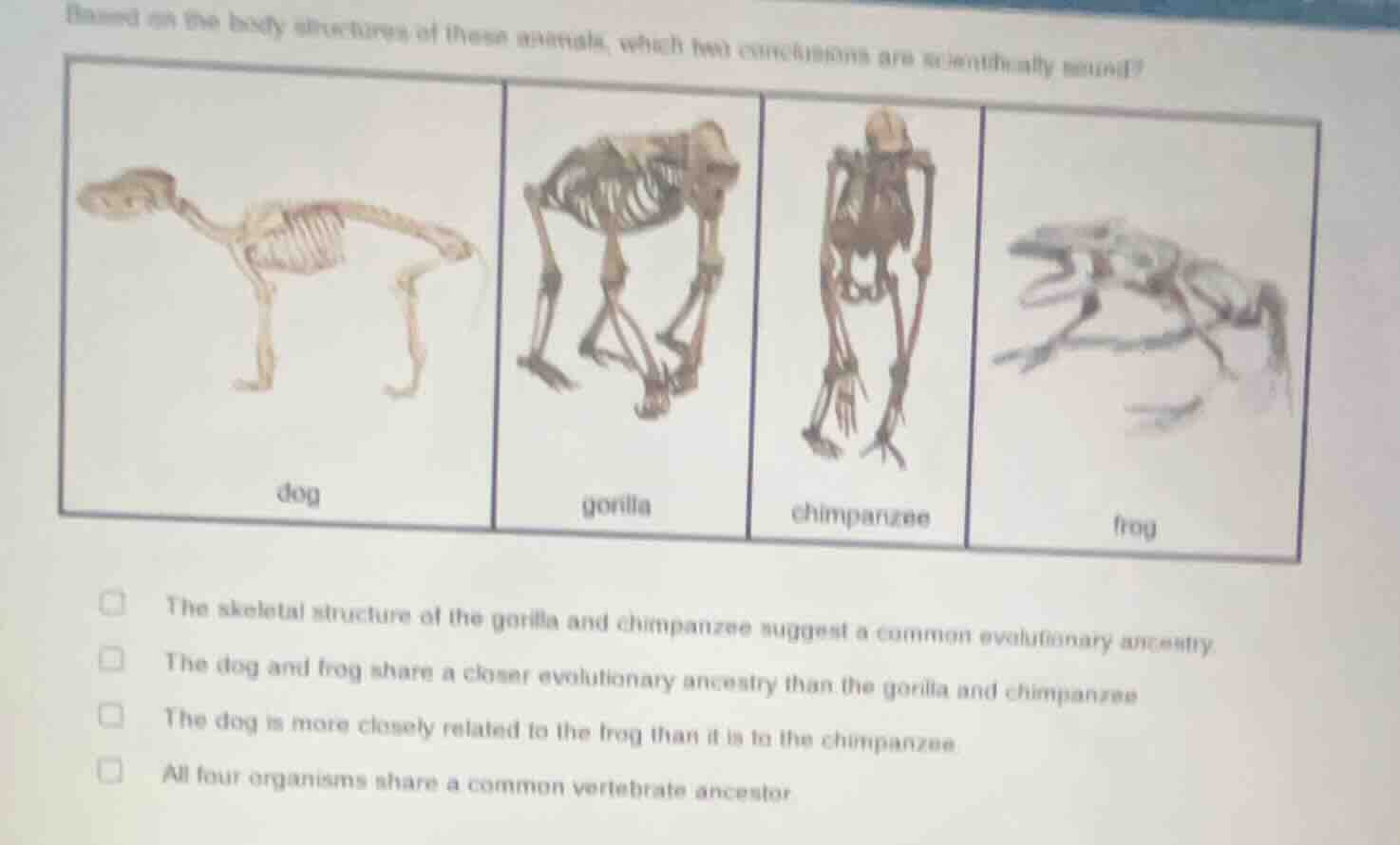 based on the body structures of these animals, which two conclusions ar…