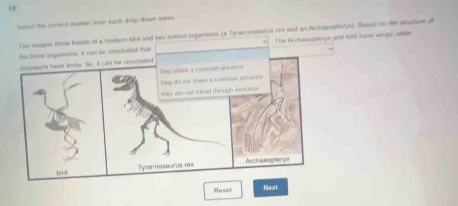 select the correct answer from each drop - down menu. the images show f…